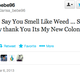 dumb tweet 4